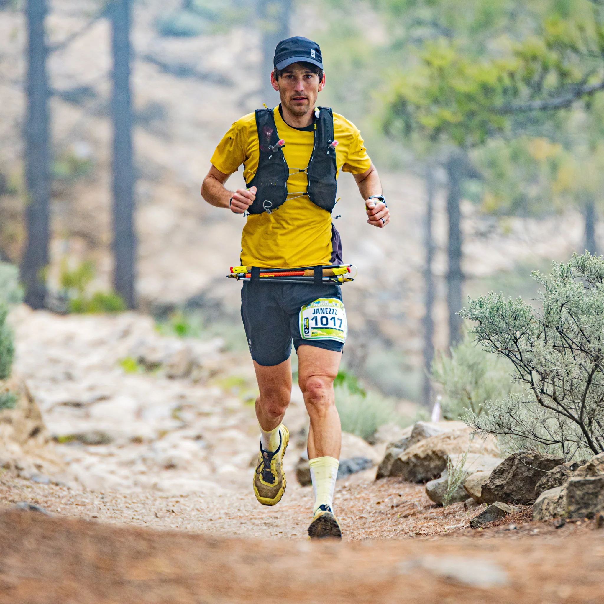 Energiegel mit L-Carnitin Box - Image 4