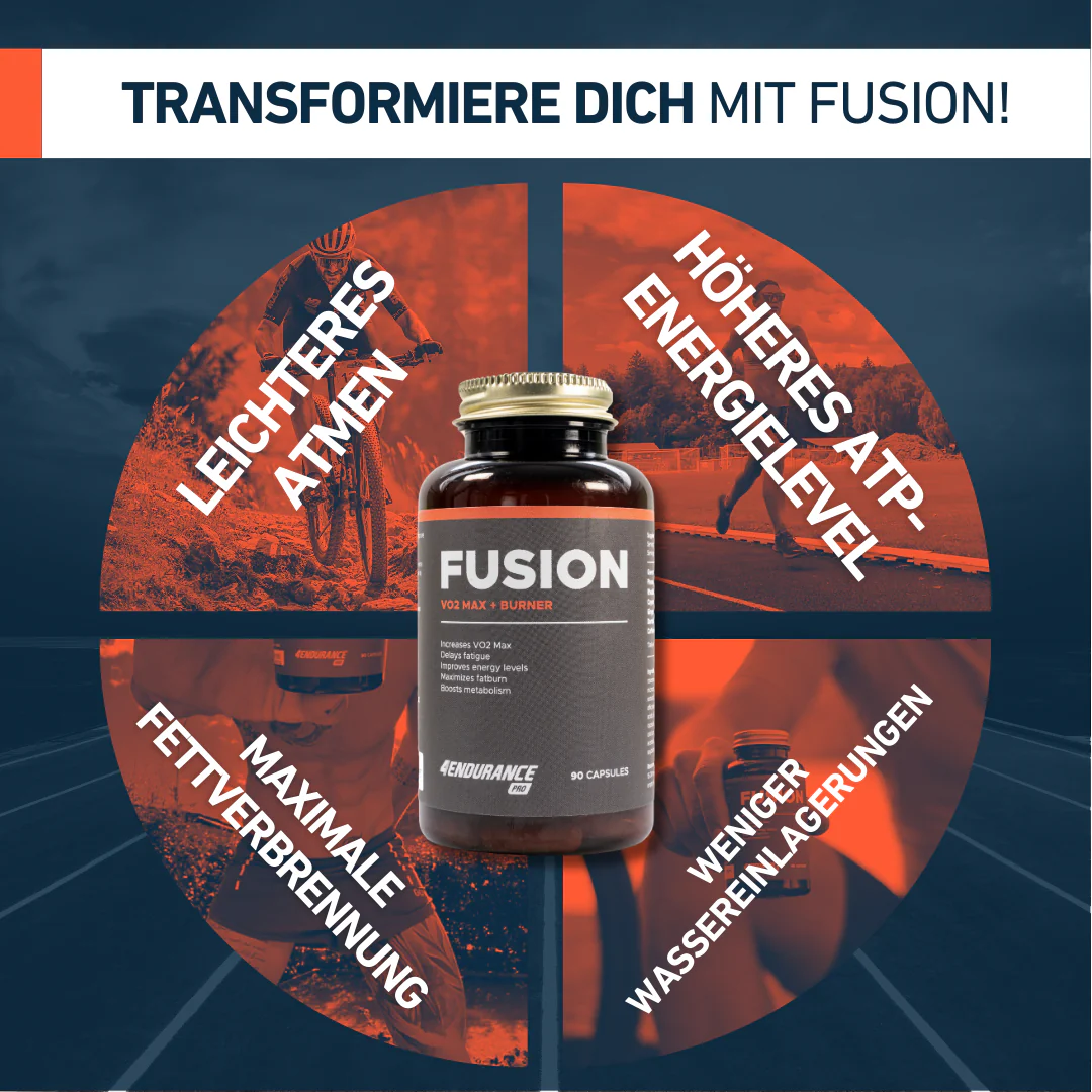 Fusion - Image 3